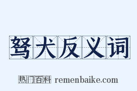 驽犬反义词是什么意思的图片
